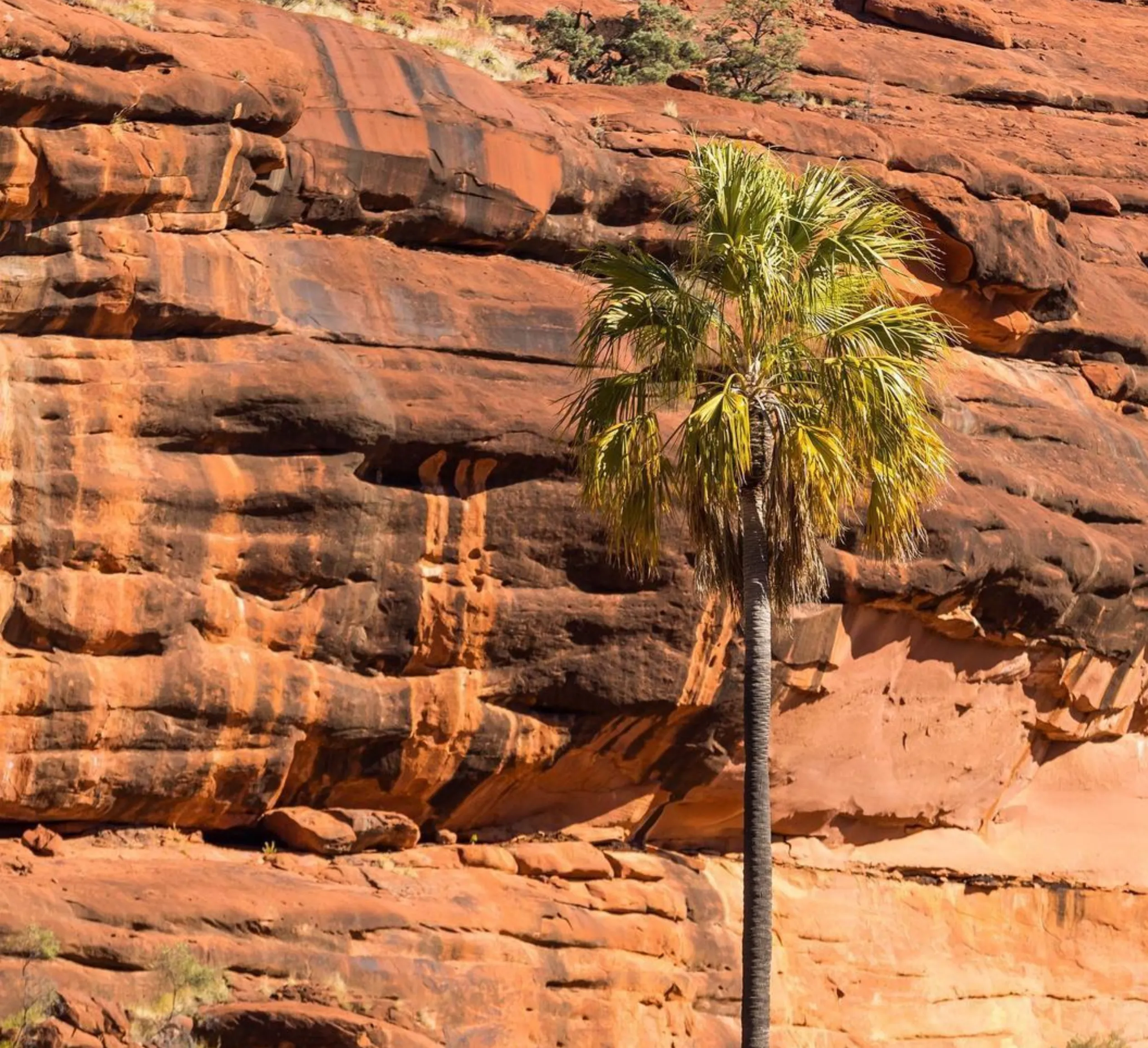 cultural history, Uluru