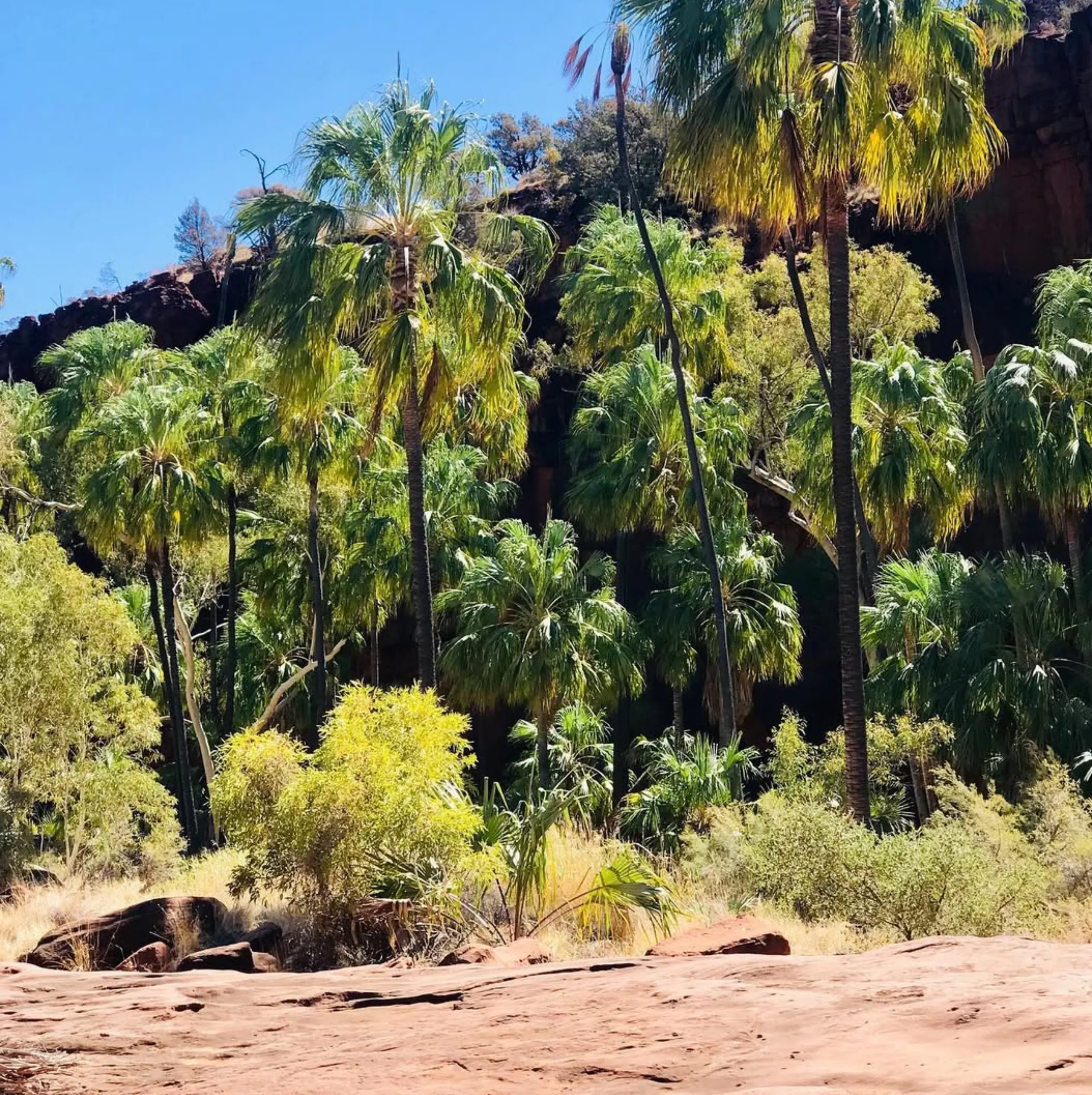 camping areas, Uluru