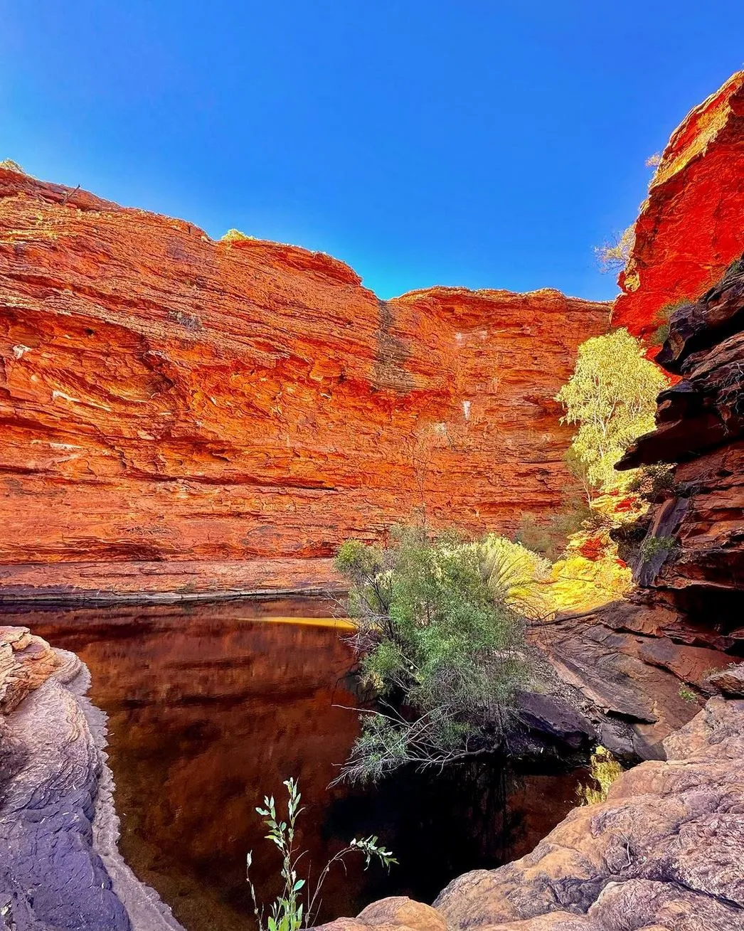 Can you swim in Kings Canyon