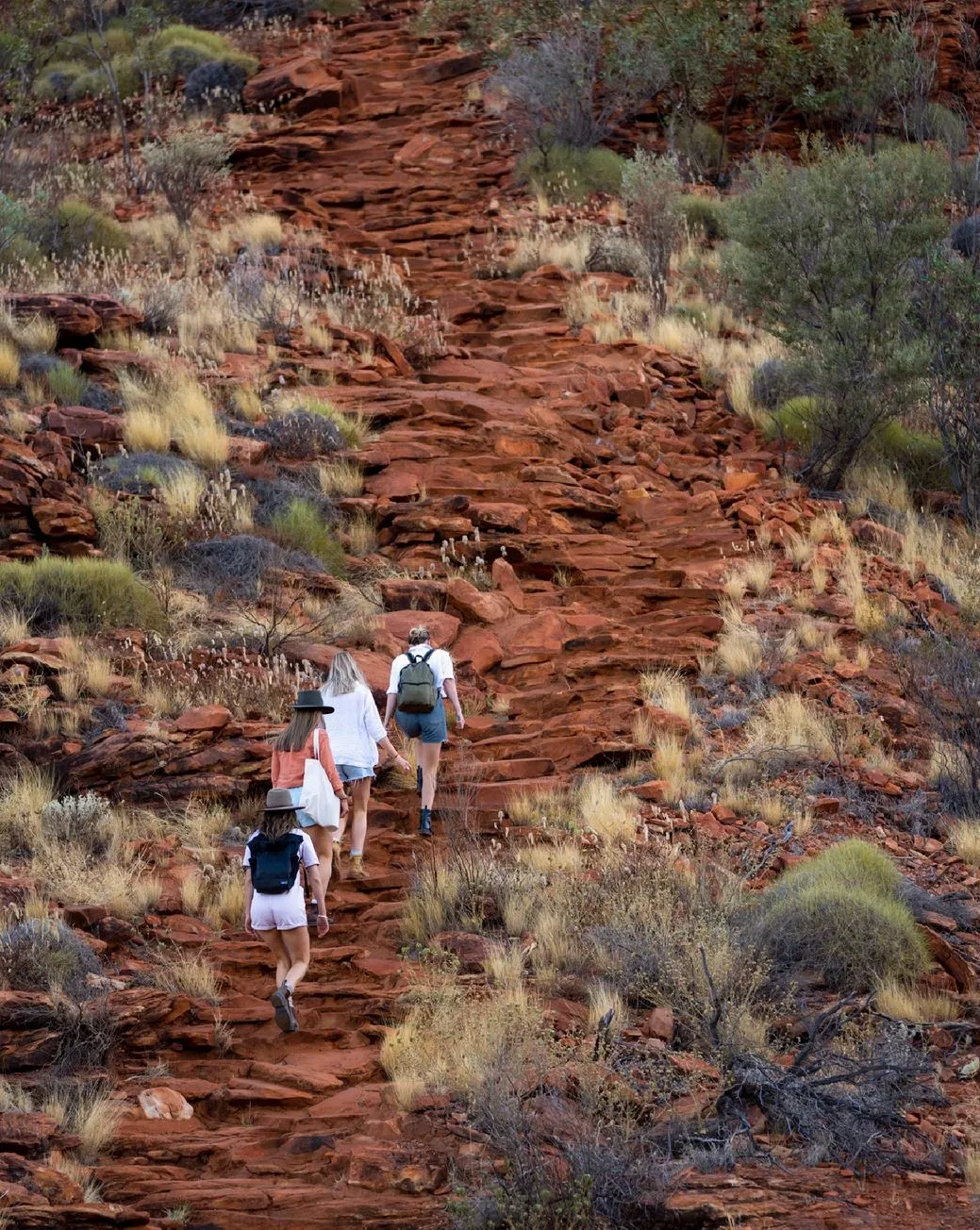 Kings Canyon Rim Walk