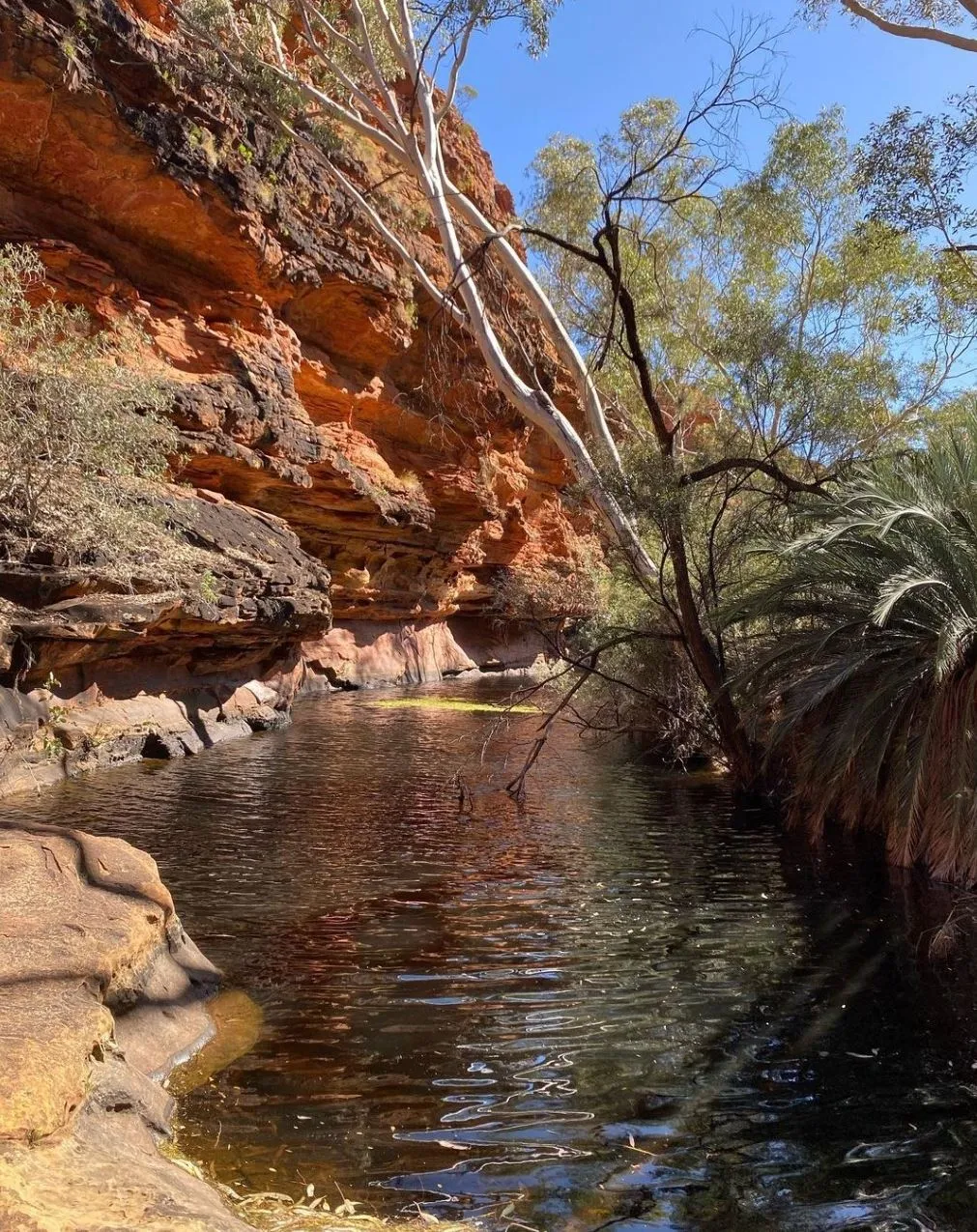 The Garden of Eden Kings Canyon Rim Walk