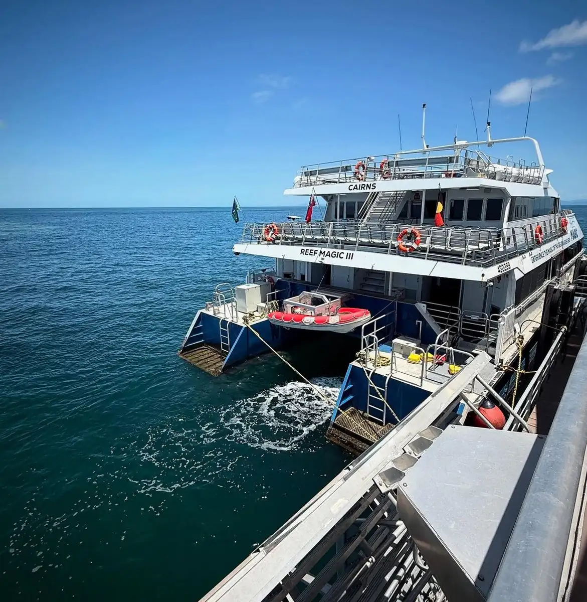 Cairns, Dive In and Get Real