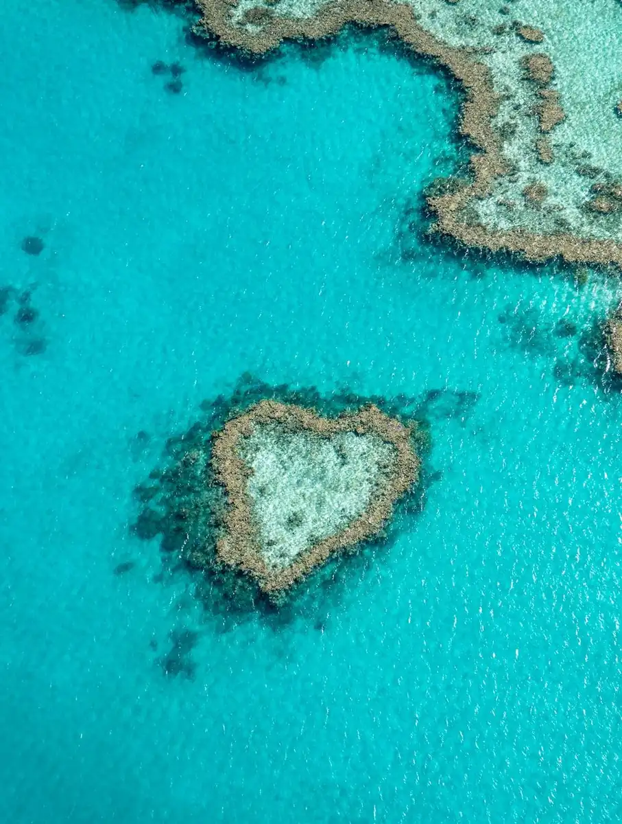 Tangalooma Wrecks Adventure Tour