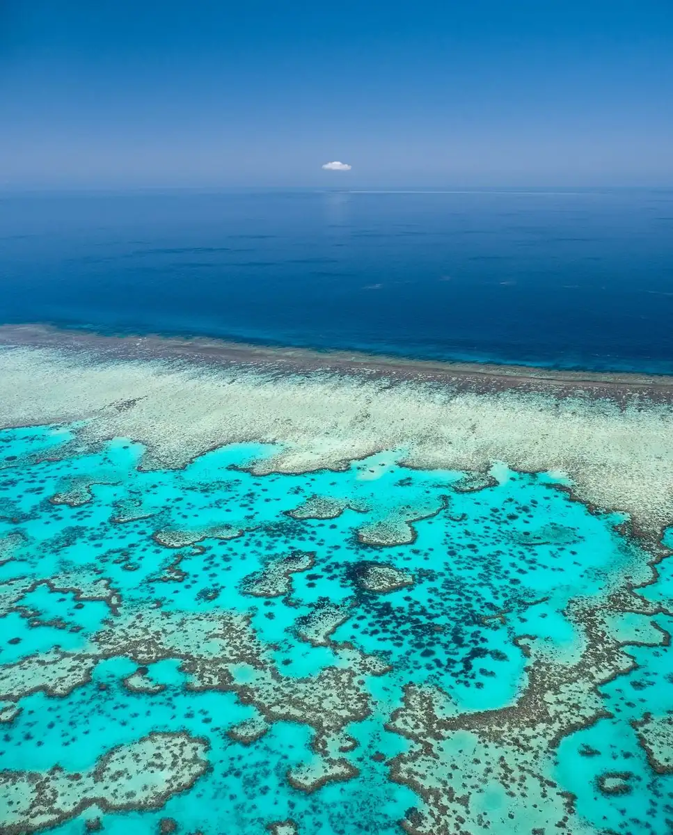 The GBR Glow-Up,The Best Wellness Retreats on the Great Barrier Reef
